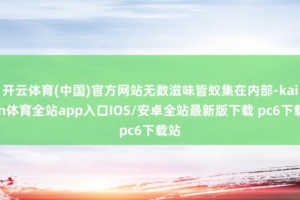 开云体育(中国)官方网站无数滋味皆蚁集在内部-kaiyun体育全站app入口IOS/安卓全站最新版下载 pc6下载站