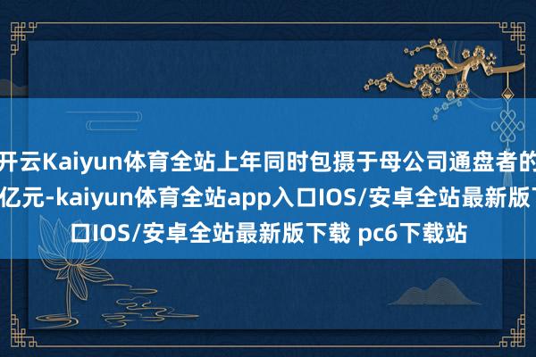 开云Kaiyun体育全站上年同时包摄于母公司通盘者的净利润为-1.98亿元-kaiyun体育全站app入口IOS/安卓全站最新版下载 pc6下载站