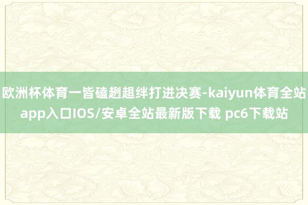 欧洲杯体育一皆磕趔趄绊打进决赛-kaiyun体育全站app入口IOS/安卓全站最新版下载 pc6下载站