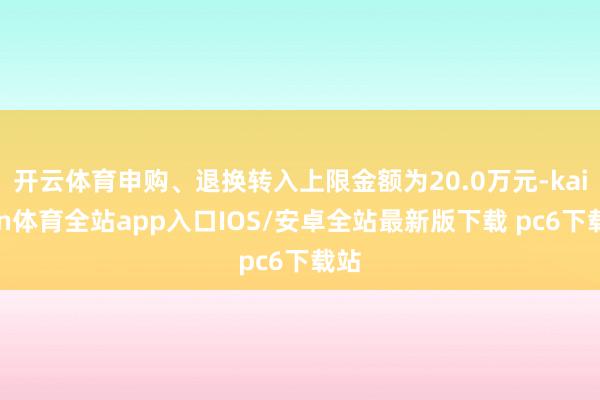 开云体育申购、退换转入上限金额为20.0万元-kaiyun体育全站app入口IOS/安卓全站最新版下载 pc6下载站