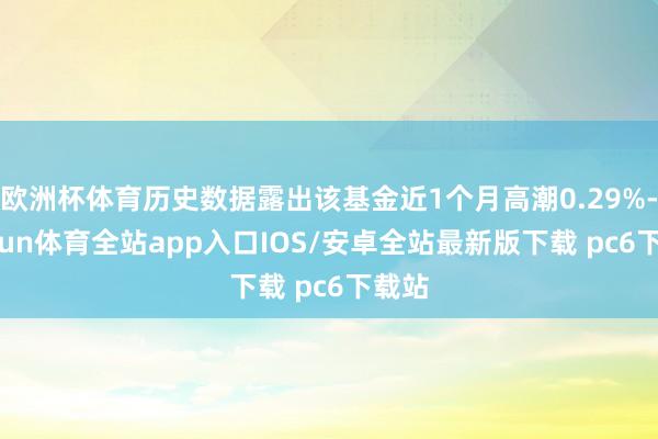 欧洲杯体育历史数据露出该基金近1个月高潮0.29%-kaiyun体育全站app入口IOS/安卓全站最新版下载 pc6下载站