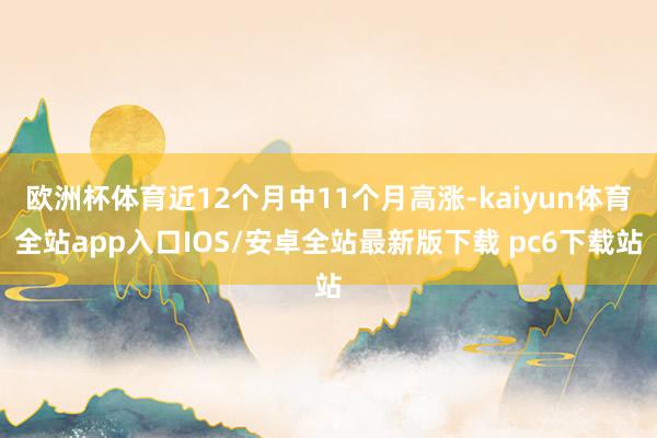 欧洲杯体育近12个月中11个月高涨-kaiyun体育全站app入口IOS/安卓全站最新版下载 pc6下载站