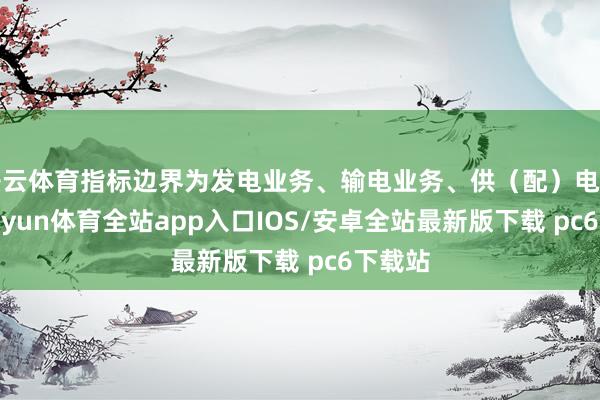 开云体育指标边界为发电业务、输电业务、供（配）电业务-kaiyun体育全站app入口IOS/安卓全站最新版下载 pc6下载站