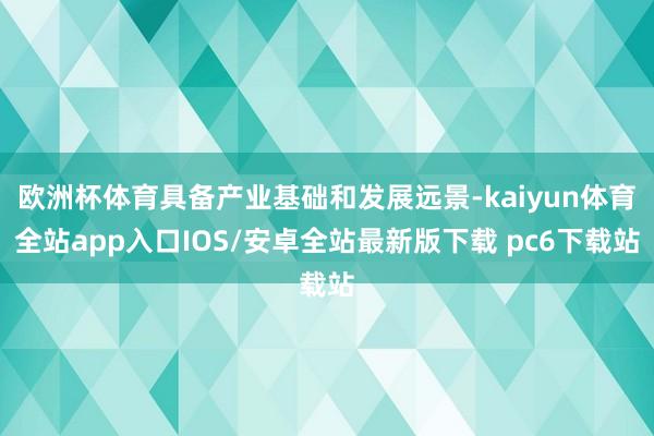 欧洲杯体育具备产业基础和发展远景-kaiyun体育全站app入口IOS/安卓全站最新版下载 pc6下载站