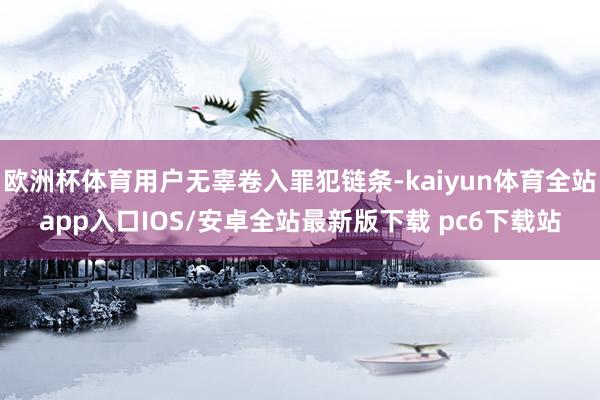 欧洲杯体育用户无辜卷入罪犯链条-kaiyun体育全站app入口IOS/安卓全站最新版下载 pc6下载站