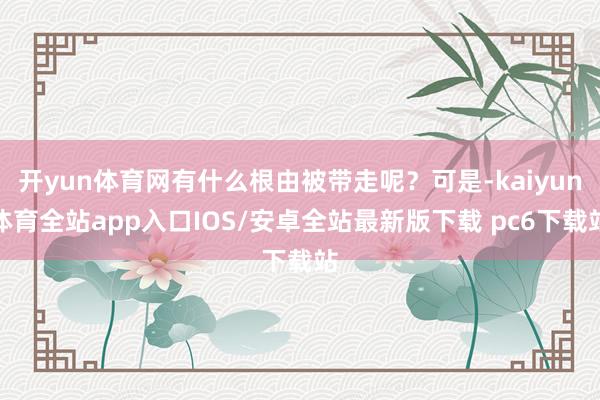 开yun体育网有什么根由被带走呢？可是-kaiyun体育全站app入口IOS/安卓全站最新版下载 pc6下载站