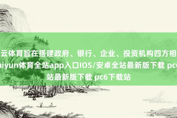 开云体育旨在搭建政府、银行、企业、投资机构四方相似桥梁-kaiyun体育全站app入口IOS/安卓全站最新版下载 pc6下载站