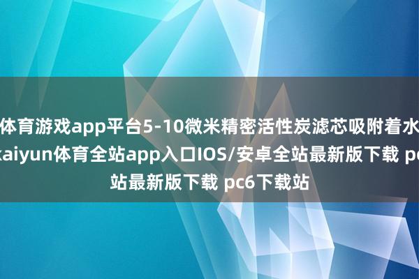 体育游戏app平台5-10微米精密活性炭滤芯吸附着水中杂质-kaiyun体育全站app入口IOS/安卓全站最新版下载 pc6下载站