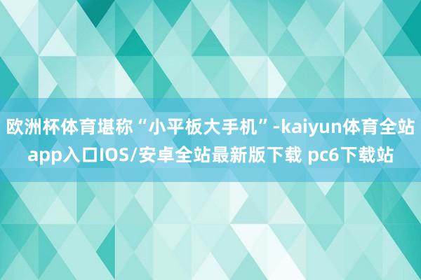 欧洲杯体育堪称“小平板大手机”-kaiyun体育全站app入口IOS/安卓全站最新版下载 pc6下载站