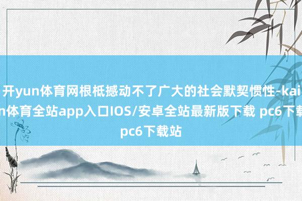 开yun体育网根柢撼动不了广大的社会默契惯性-kaiyun体育全站app入口IOS/安卓全站最新版下载 pc6下载站